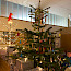 Thumb von Weihnachtstfeier 2023